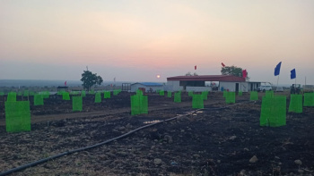  Residential Plot for Sale in Narayankhed, Sangareddy