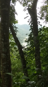 Agricultural Land for Sale in Thekkady, Idukki