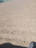  Agricultural Land for Sale in Ettayapuram, Thoothukudi