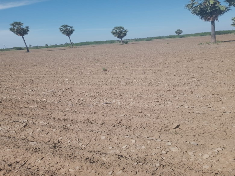  7 Acre Agricultural/Farm Land for Sale in Ettayapuram, Thoothukudi