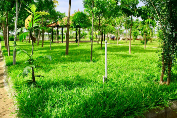 Residential Plot for Sale in Gauribidanur, Bangalore