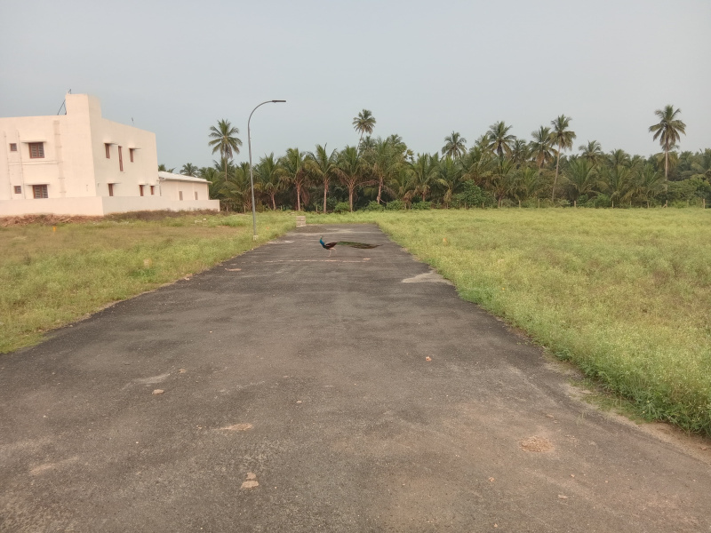  436 Sq.ft. Residential Plot for Sale in Kinathukadavu, Coimbatore