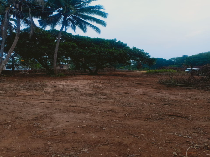  150 Cent Commercial Land for Sale in Mudbidri, Dakshin Kannad