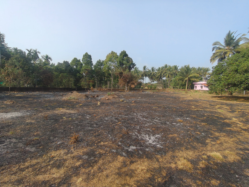  150 Cent Commercial Land for Sale in Mudbidri, Dakshin Kannad