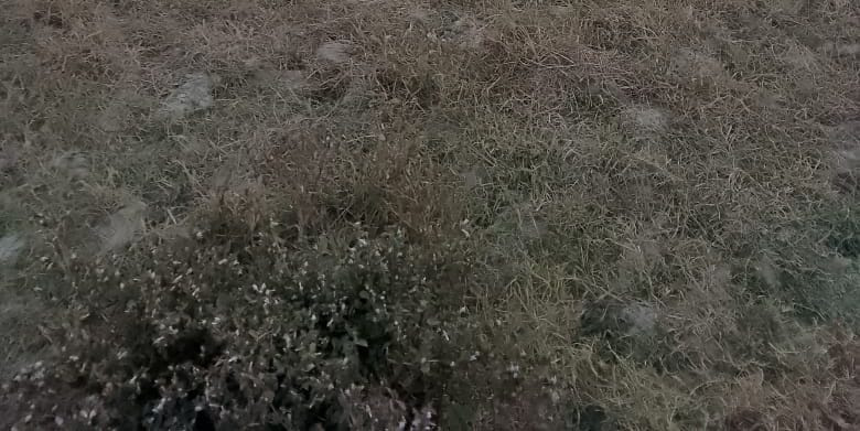  2 Katha Residential Plot for Sale in Bally, Kolkata