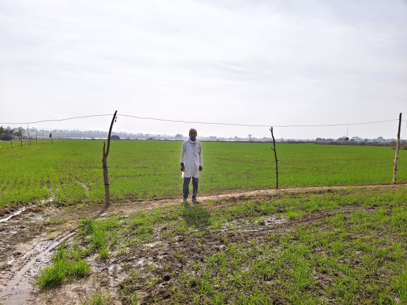  2 Ares Agricultural/Farm Land for Sale in Jabera, Damoh