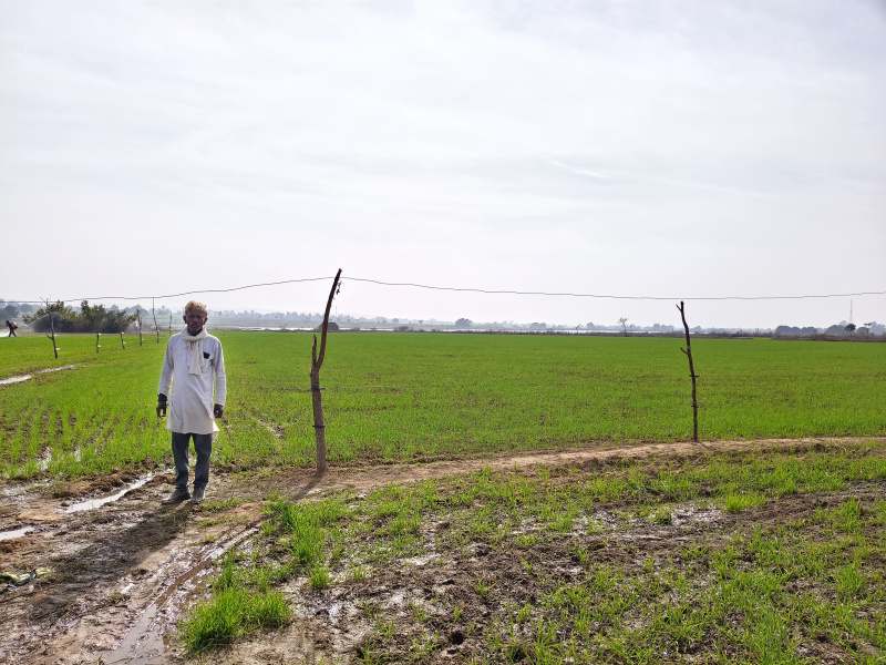  2 Ares Agricultural/Farm Land for Sale in Jabera, Damoh