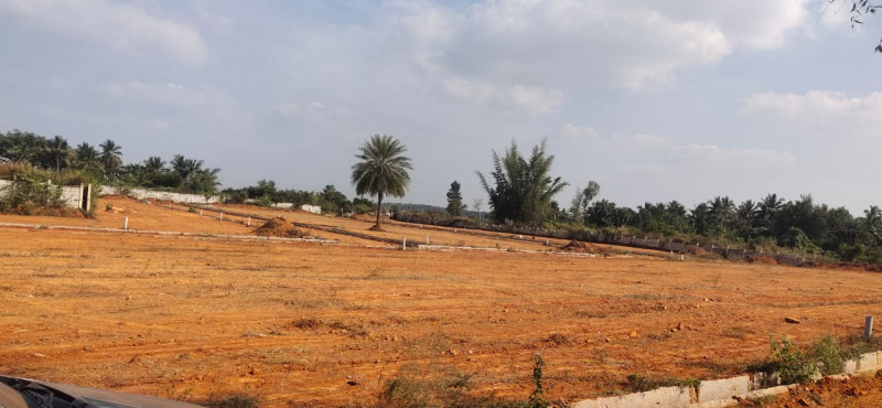  1200 Sq.ft. Residential Plot for Sale in Hejjala, Bangalore