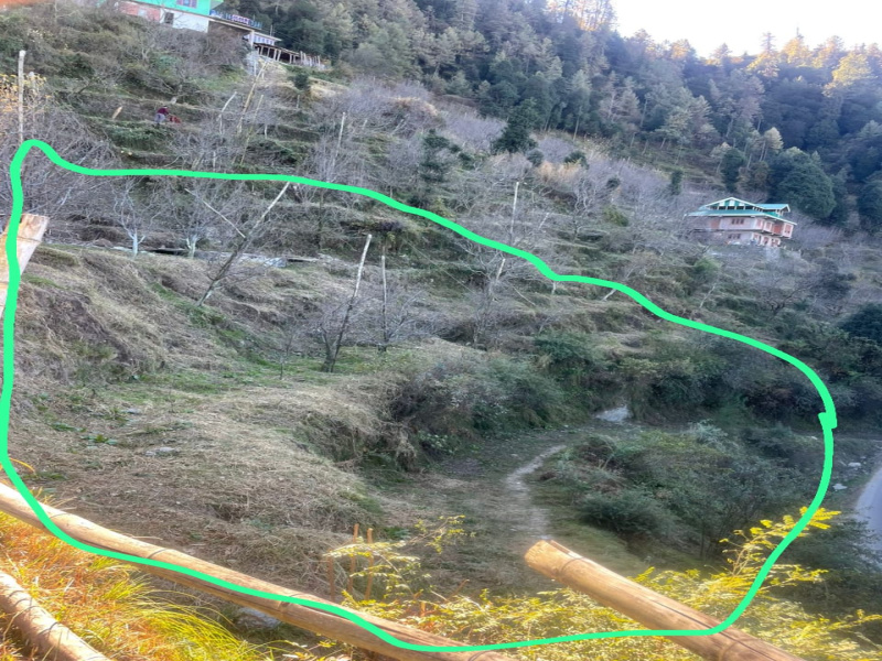  10 Biswa Residential Plot for Sale in Theog, Shimla
