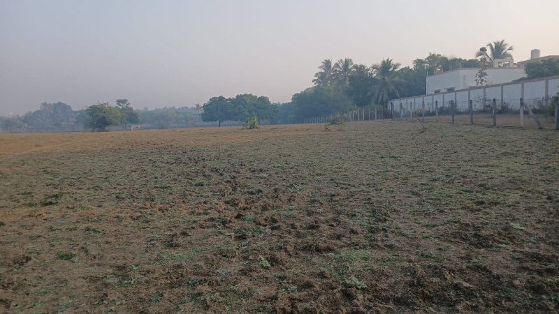  4 Acre Residential Plot for Sale in Umbergaon, Valsad