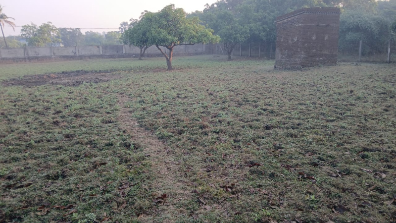  4 Acre Residential Plot for Sale in Umbergaon, Valsad