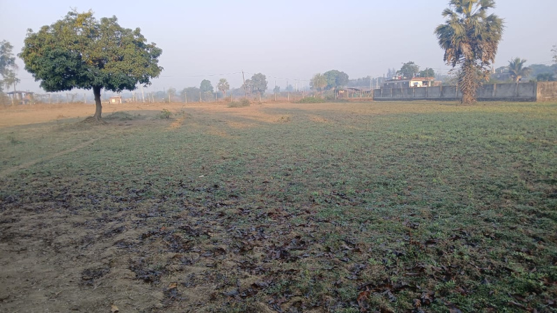  4 Acre Residential Plot for Sale in Umbergaon, Valsad