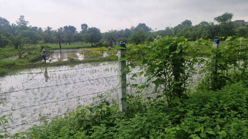 25 Guntha Agricultural/Farm Land for Sale in Umbergaon, Valsad