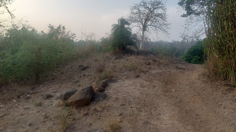  4 Acre Industrial Land for Sale in Sayli Road, Silvassa