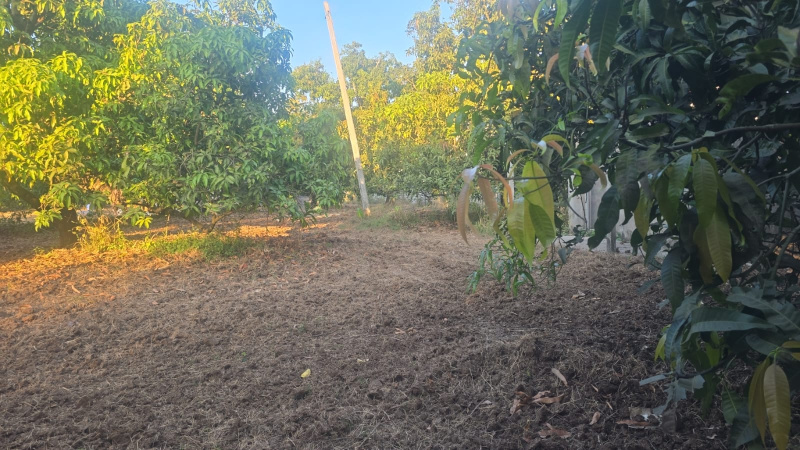  3 Acre Agricultural/Farm Land for Sale in Umbergaon, Valsad