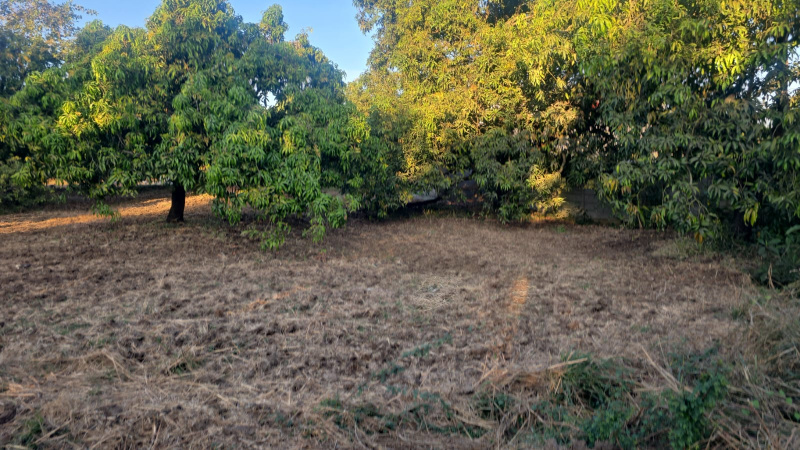  3 Acre Agricultural/Farm Land for Sale in Umbergaon, Valsad