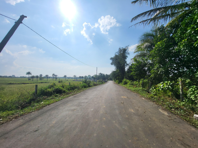  33 Guntha Industrial Land for Sale in Sarigam, Vapi