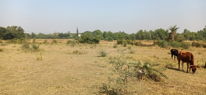  4 Acre Industrial Land for Sale in Sarigam, Vapi