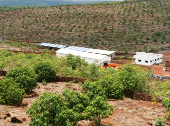  Agricultural Land for Sale in Devgad, Sindhudurg