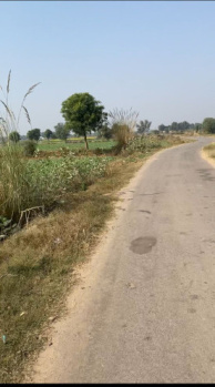 Agricultural Land for Sale in Naugaon, Alwar