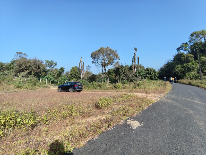 15 Ares Residential Plot for Sale in Sakleshpur, Hassan