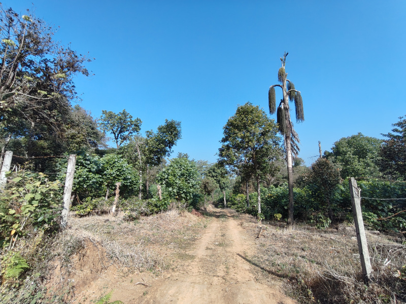  15 Ares Residential Plot for Sale in Sakleshpur, Hassan