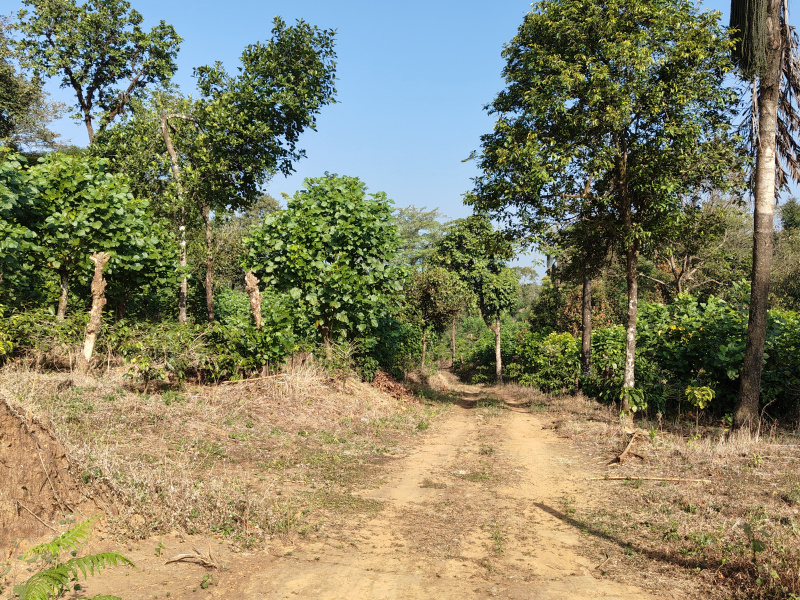  15 Ares Residential Plot for Sale in Sakleshpur, Hassan