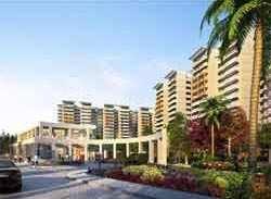 3 BHK Flat for Sale in Sector 81 Gurgaon