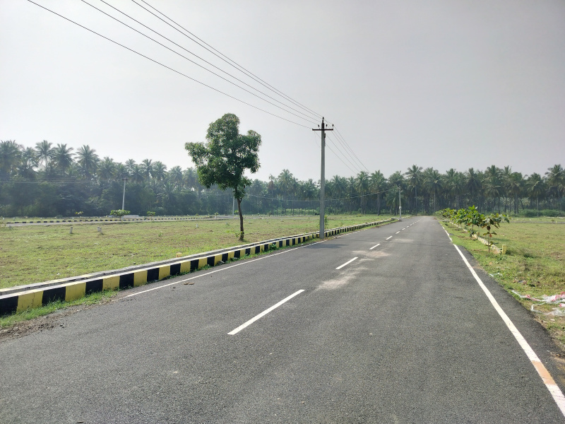  10000 Sq.ft. Residential Plot for Sale in Ambur, Vellore