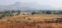  Residential Plot for Sale in Trimbakeshwar, Nashik