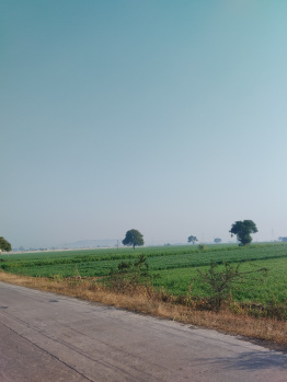  Agricultural Land for Sale in Maksi, Shajapur