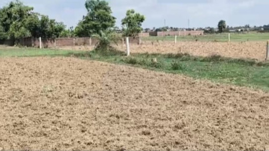  1200 Sq.ft. Residential Plot for Sale in Saguna More, Patna