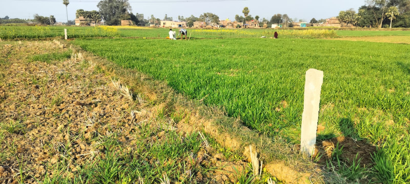  1200 Sq.ft. Residential Plot for Sale in Saguna More, Patna