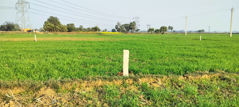  1200 Sq.ft. Residential Plot for Sale in Saguna More, Patna