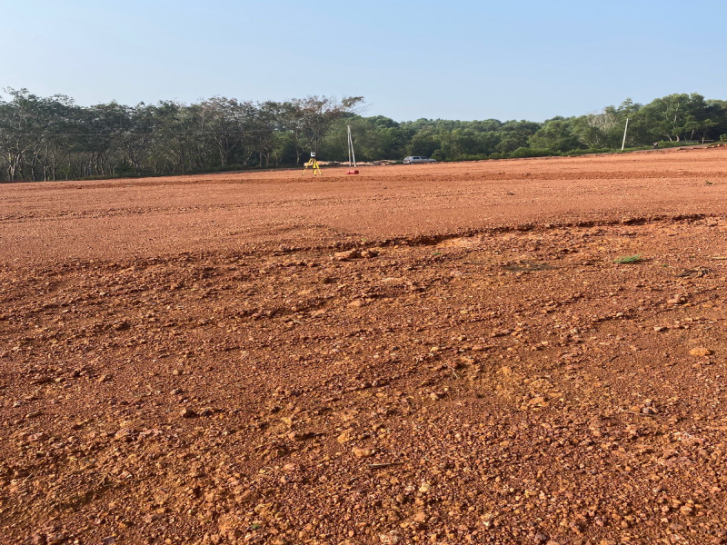  257 Cent Residential Plot for Sale in Payyannur, Kannur