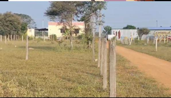  2400 Sq.ft. Residential Plot for Sale in Panjapur, Tiruchirappalli