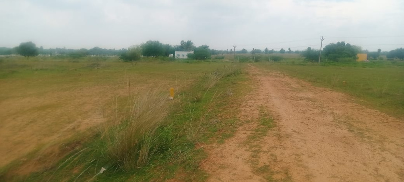  2400 Sq.ft. Residential Plot for Sale in Fathima Nagar, Tiruchirappalli