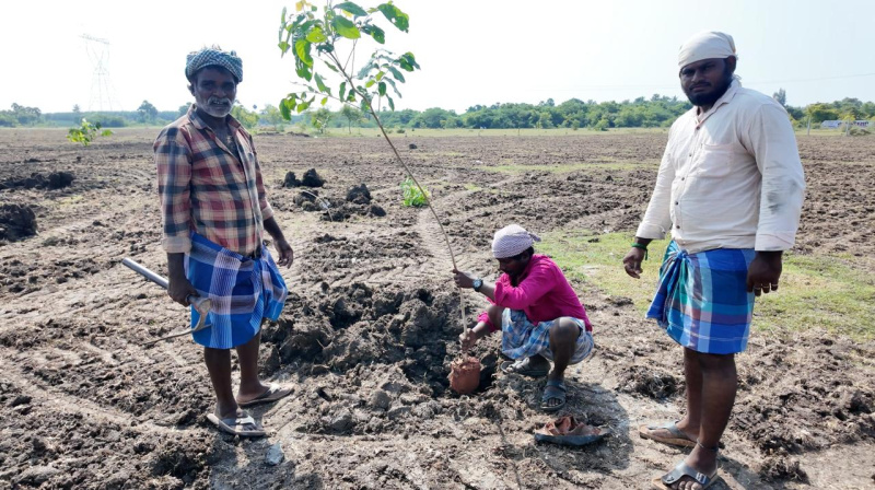  22 Sq.ft. Agricultural/Farm Land for Sale in Acharapakkam, Chengalpattu