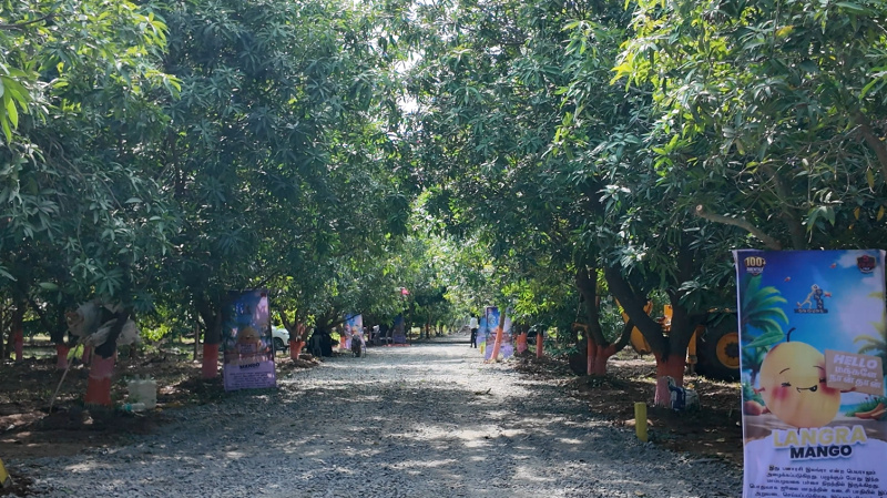  22 Cent Agricultural/Farm Land for Sale in Melmaruvathur, Chengalpattu