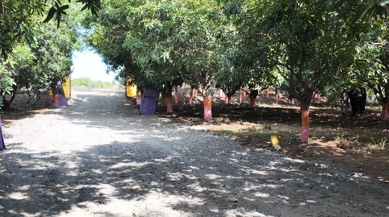  22 Cent Agricultural/Farm Land for Sale in Melmaruvathur, Chengalpattu