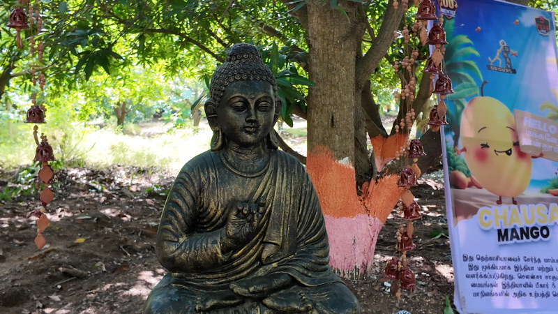  22 Cent Agricultural/Farm Land for Sale in Melmaruvathur, Chengalpattu