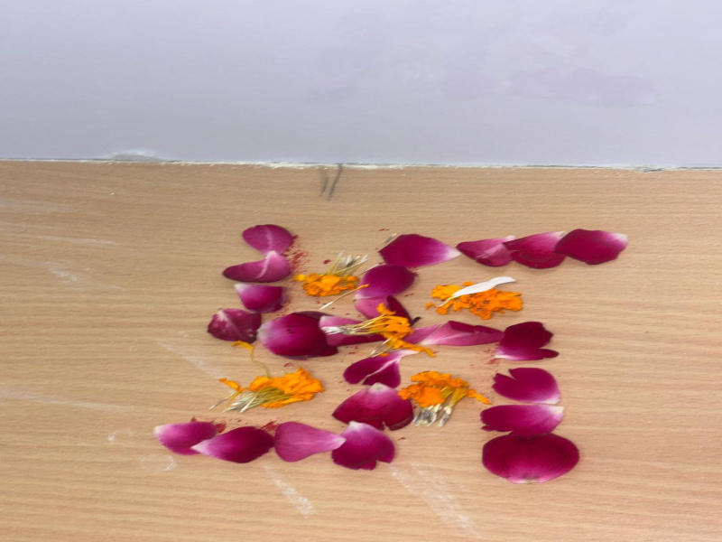  751 Sq.ft. Office Space for Rent in Sector 73 Noida