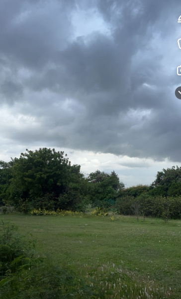  20 Acre Agricultural/Farm Land for Rent in Devanahalli, Bangalore