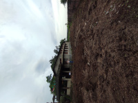  Residential Plot for Sale in Nazira, Sibsagar