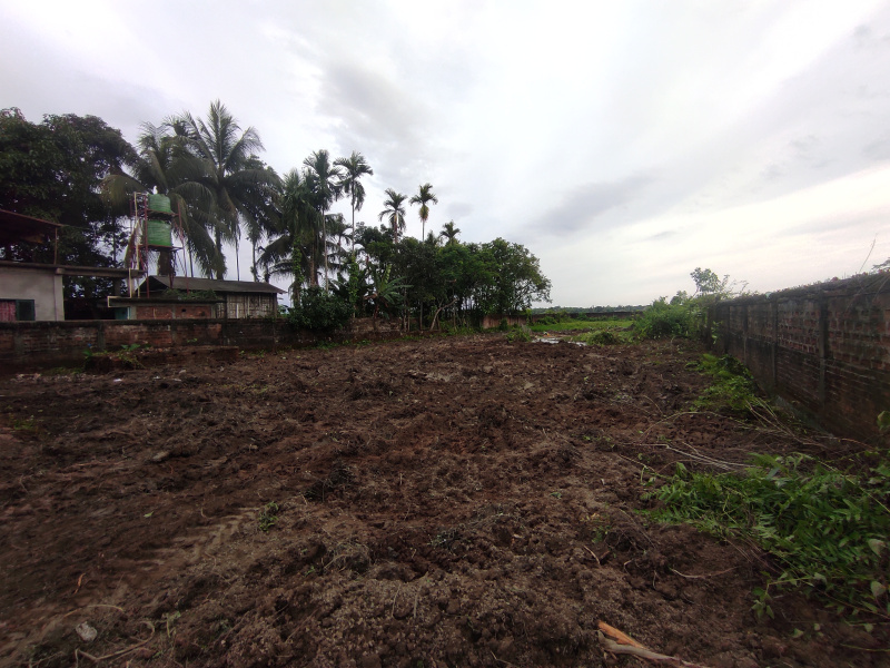  24920 Sq.ft. Residential Plot for Sale in Nazira, Sibsagar