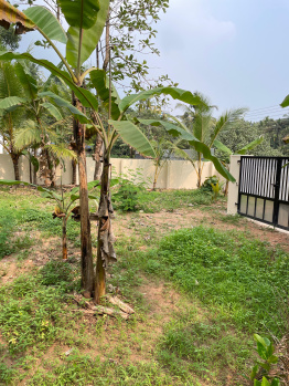  Residential Plot for Sale in Thiruvalla, Pathanamthitta