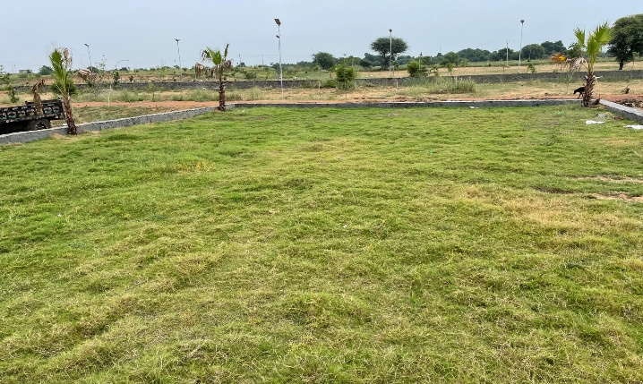  100 Sq. Yards Residential Plot for Sale in Maholi Road, Mathura