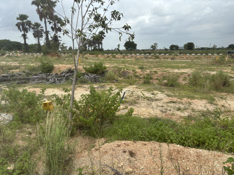  1980 Sq.ft. Residential Plot for Sale in Chotuppal, Hyderabad