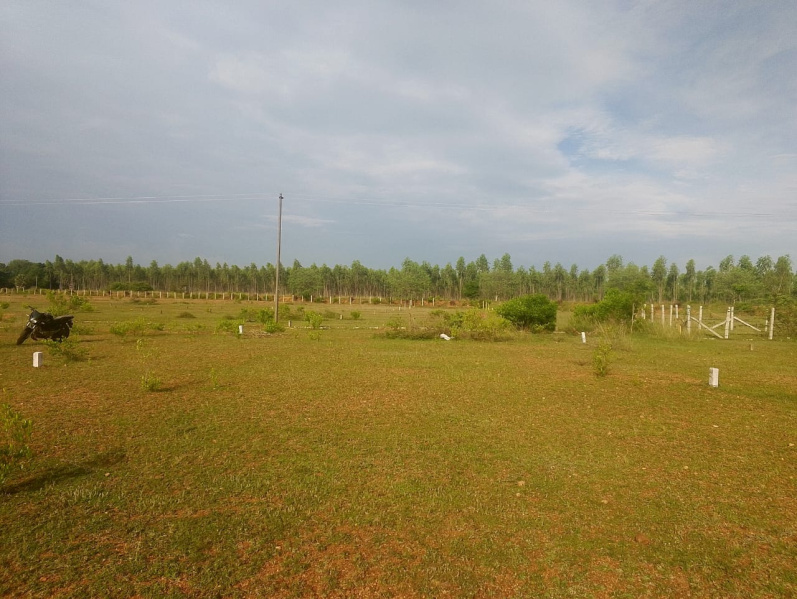  4 Cent Residential Plot for Sale in Kalanivasal, Karaikudi
