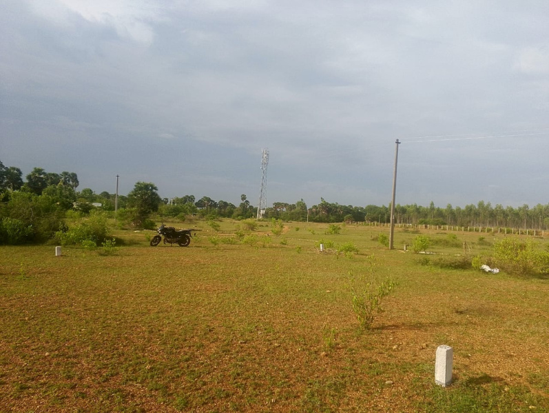  4 Cent Residential Plot for Sale in Kalanivasal, Karaikudi